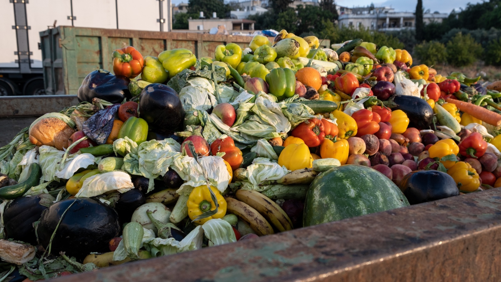 Drugie życie bioodpadów kuchennych